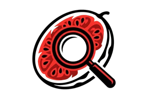 best365体育网站 - 吃瓜社Logo